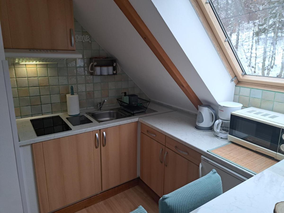 Apartment Erika Fužine Eksteriør bilde