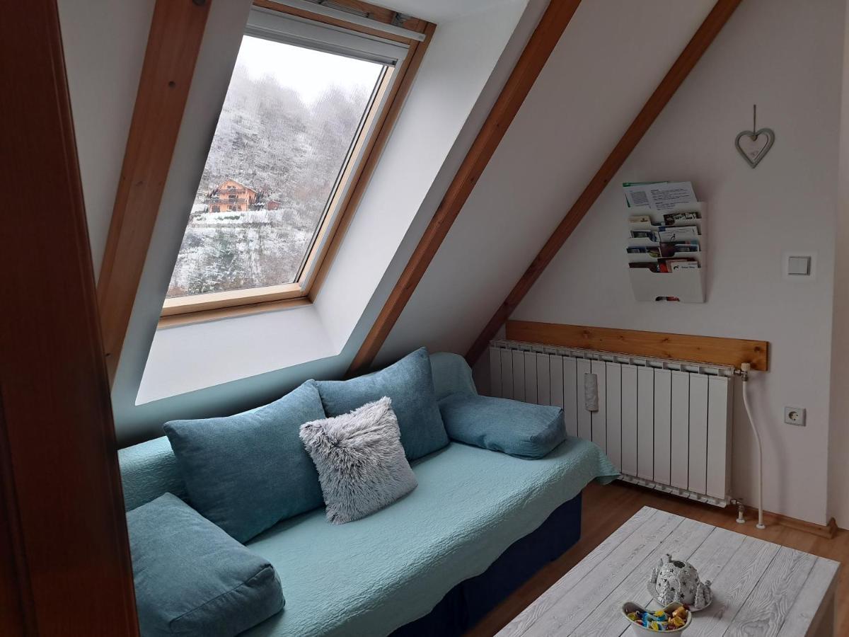 Apartment Erika Fužine Eksteriør bilde