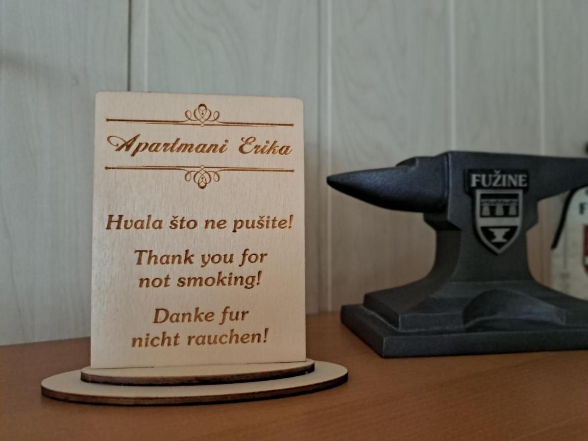 Apartment Erika Fužine Eksteriør bilde