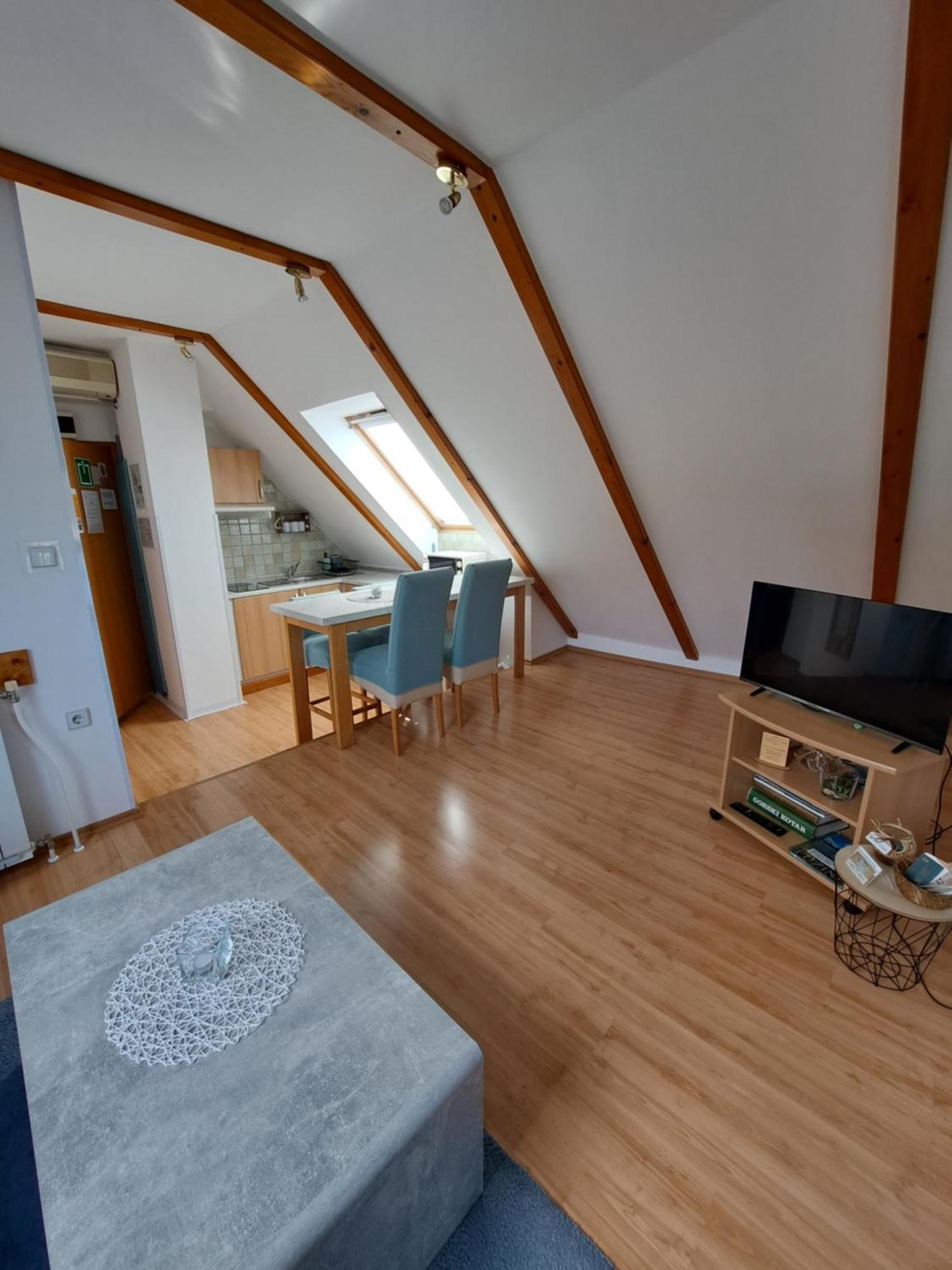 Apartment Erika Fužine Eksteriør bilde